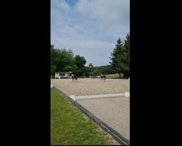 Video of Reluceo
