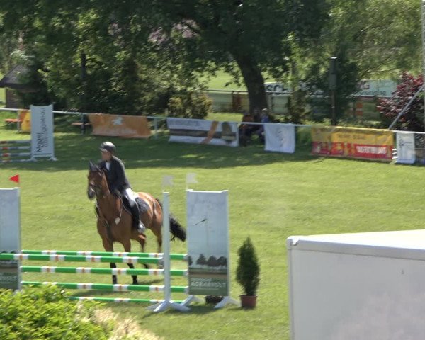 Reitturnier Pennigbüttel 2022