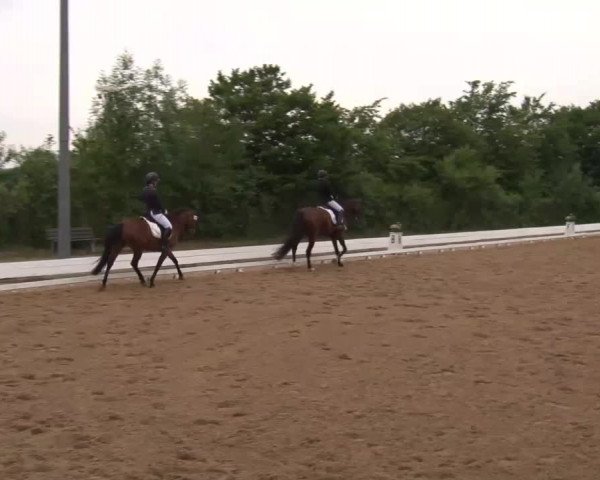 Reitturnier Neustadt/Aisch/Mfr. 2022