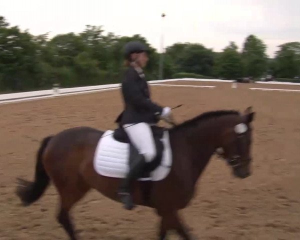 Reitturnier Neustadt/Aisch/Mfr. 2022