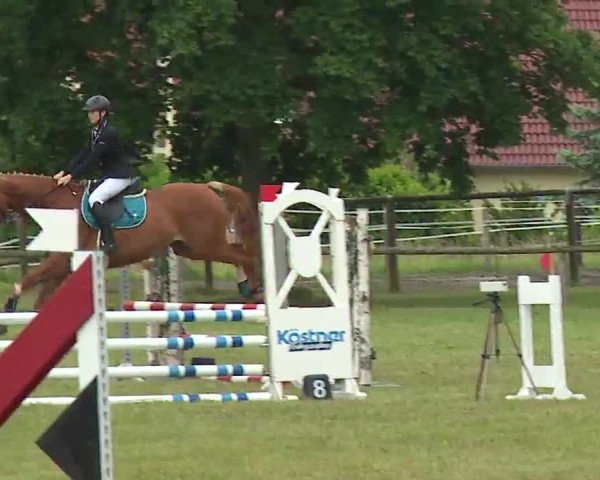 Reitturnier Neustadt/Aisch/Mfr. 2022