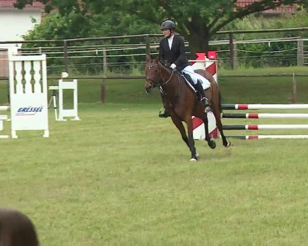 Reitturnier Neustadt/Aisch/Mfr. 2022