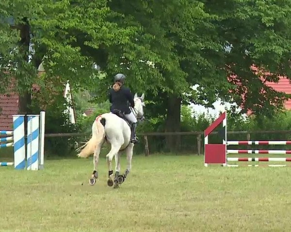 Reitturnier Neustadt/Aisch/Mfr. 2022