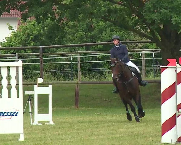 Reitturnier Neustadt/Aisch/Mfr. 2022