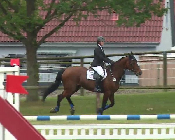 Reitturnier Neustadt/Aisch/Mfr. 2022