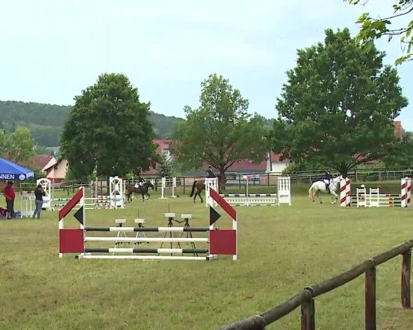 Reitturnier Neustadt/Aisch/Mfr. 2022