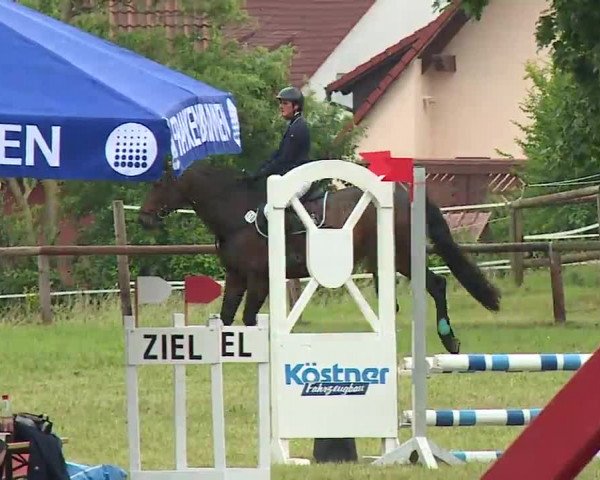 Reitturnier Neustadt/Aisch/Mfr. 2022