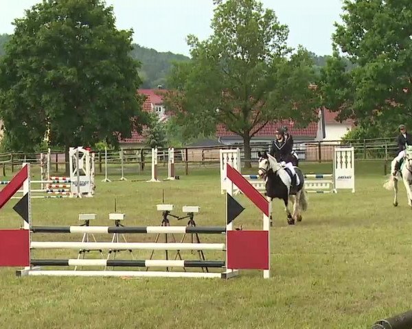 Reitturnier Neustadt/Aisch/Mfr. 2022