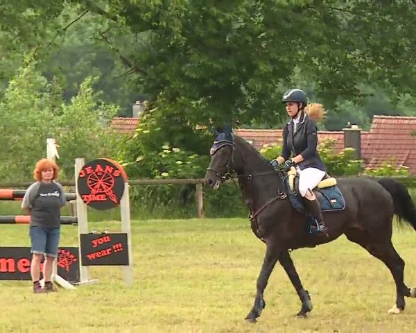 Reitturnier Neustadt/Aisch/Mfr. 2022