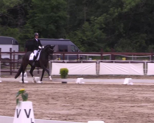 Reitturnier Frechen-Grefrath - Sonnenhof 2022