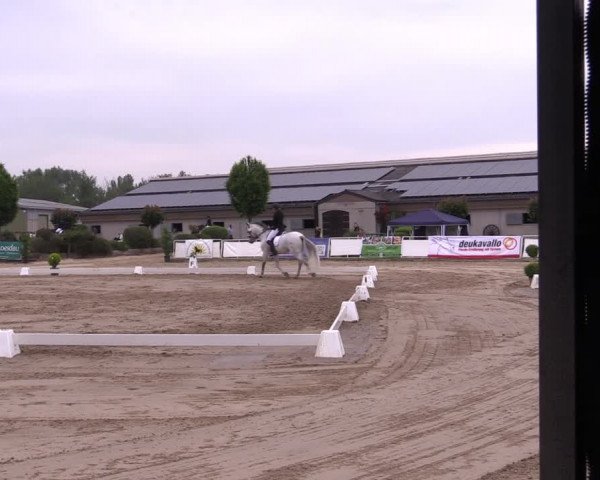 Reitturnier Frechen-Grefrath - Sonnenhof 2022