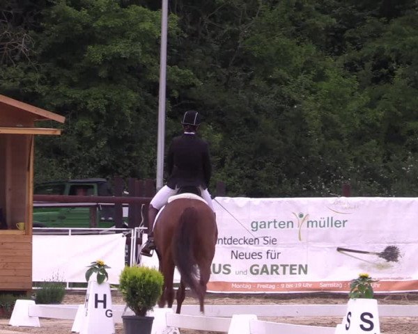 Reitturnier Frechen-Grefrath - Sonnenhof 2022