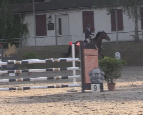 Reitturnier Lgl.-Oberhain, B95 2022