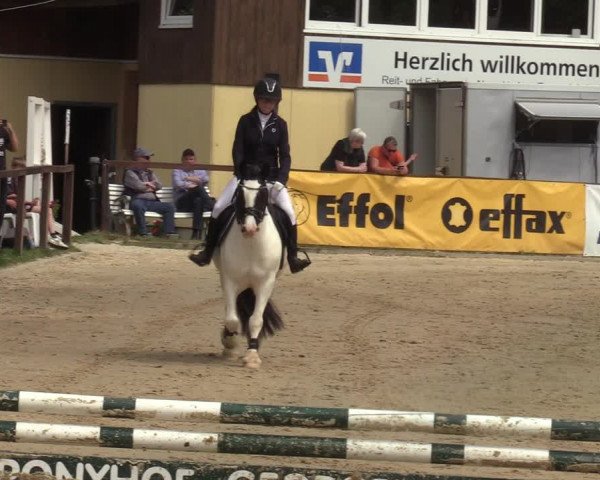 Reitturnier Everswinkel 2022
