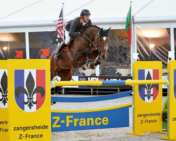 broodmare Balarina 3 (Oldenburg, 2005, from Balou du Rouet)