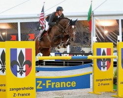 broodmare Balarina 3 (Oldenburg, 2005, from Balou du Rouet)