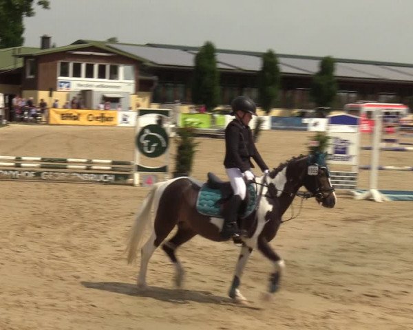 Reitturnier Everswinkel 2022