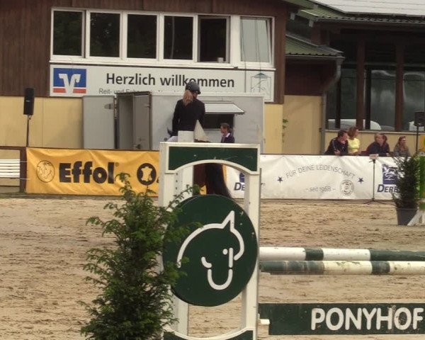 Reitturnier Everswinkel 2022