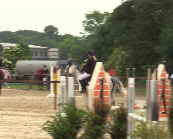 Reitturnier Everswinkel 2022