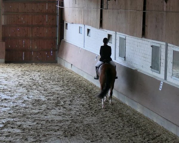 Reitturnier Everswinkel 2022