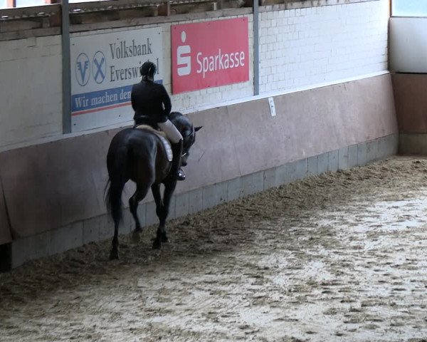 Reitturnier Everswinkel 2022
