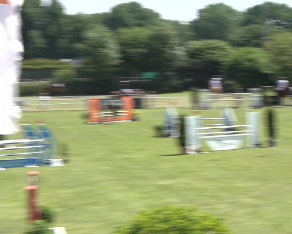 Reitturnier Pennigbüttel 2022