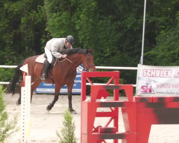 Reitturnier Losheim am See 2022