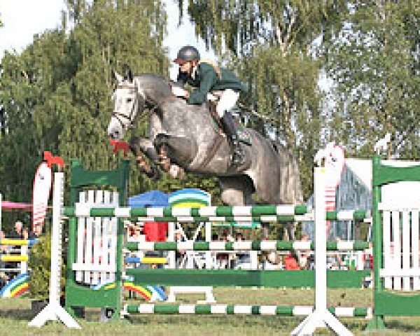 broodmare Chocolata Blanca (Holsteiner, 2001, from Calato)