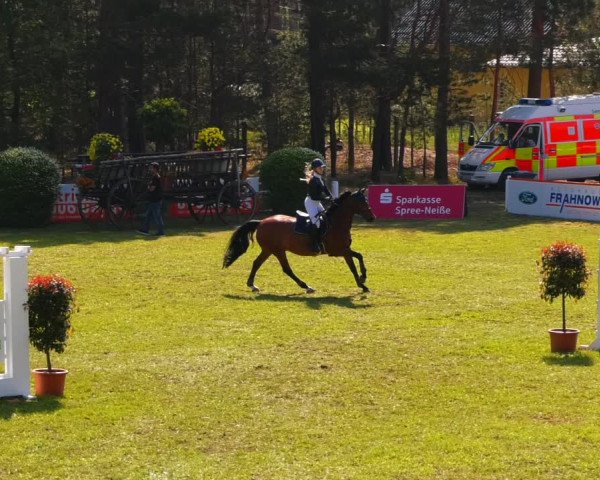 Reitturnier Cottbus-Sielow 2022