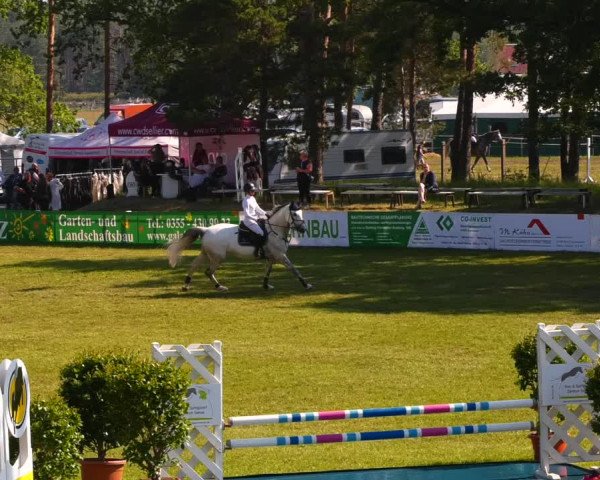Reitturnier Cottbus-Sielow 2022
