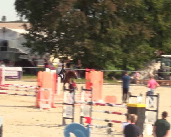 Springreitturnier Hohburg 2021