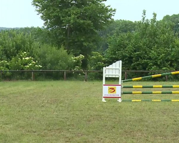 Reitturnier Neustadt/Aisch/Mfr. 2022