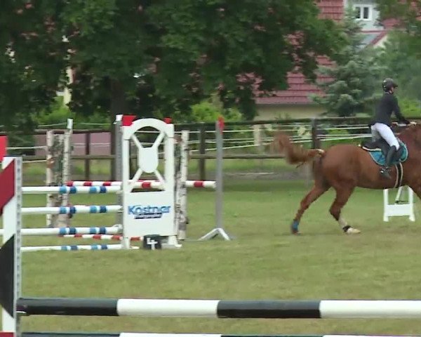 Reitturnier Neustadt/Aisch/Mfr. 2022