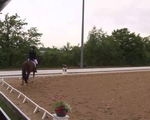 Reitturnier Neustadt/Aisch/Mfr. 2022