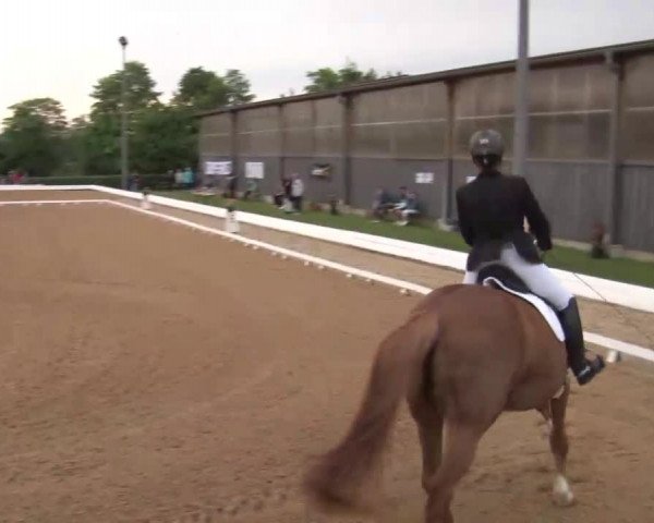 Reitturnier Neustadt/Aisch/Mfr. 2022