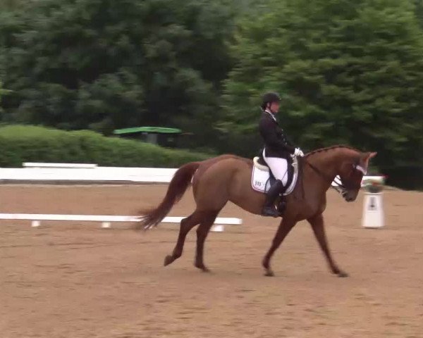 Reitturnier Neustadt/Aisch/Mfr. 2022