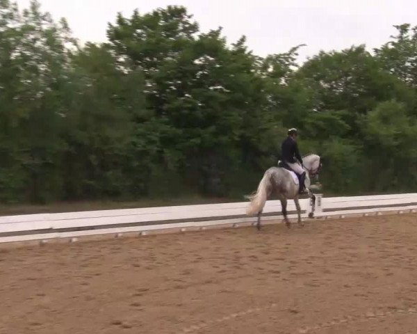Reitturnier Neustadt/Aisch/Mfr. 2022