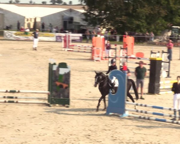 Springreitturnier Hohburg 2021