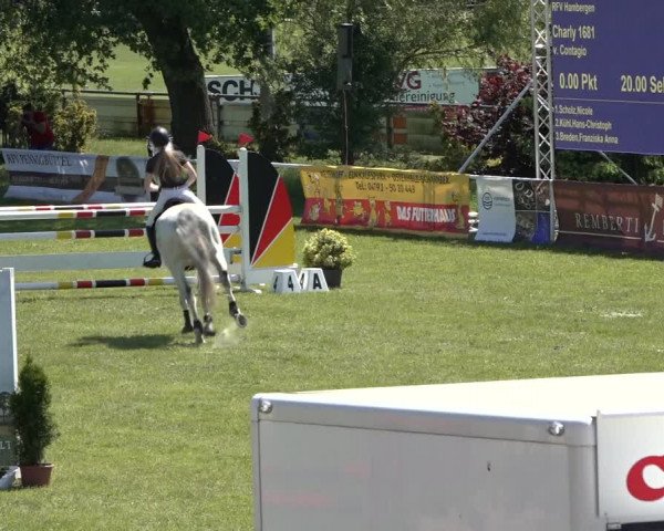 Reitturnier Pennigbüttel 2022
