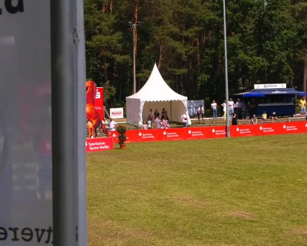 Reitturnier Cottbus-Sielow 2022