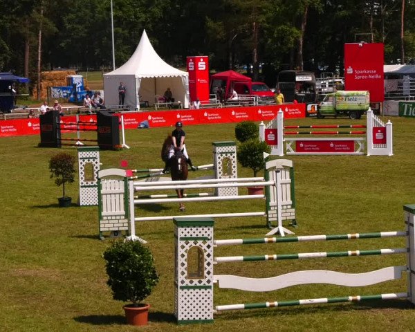 Reitturnier Cottbus-Sielow 2022