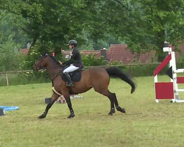 Reitturnier Neustadt/Aisch/Mfr. 2022