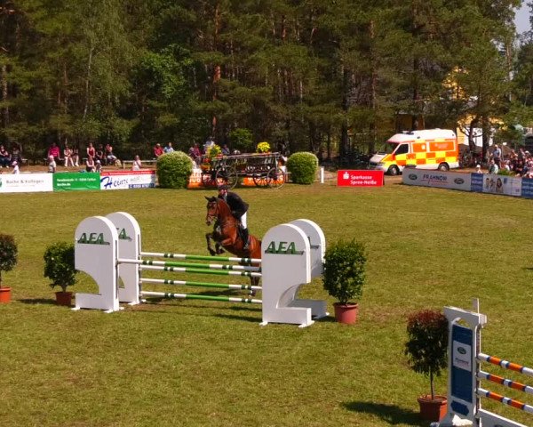 Reitturnier Cottbus-Sielow 2022