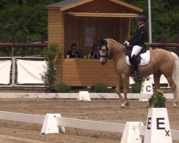 Reitturnier Frechen-Grefrath - Sonnenhof 2022