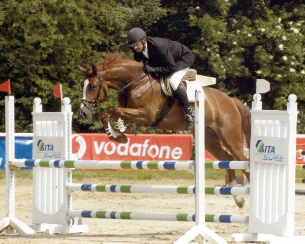 horse Paladina 10 (Oldenburg, 2002, from Acorath)