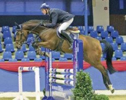 jumper Euphoria (Oldenburg show jumper, 2009, from Berlin)