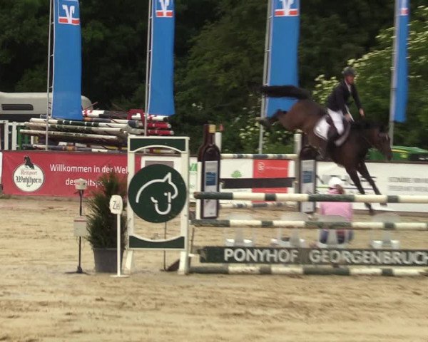 Reitturnier Everswinkel 2022