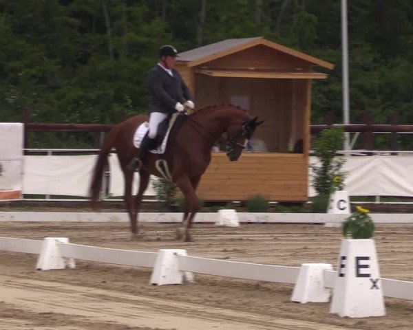Reitturnier Frechen-Grefrath - Sonnenhof 2022