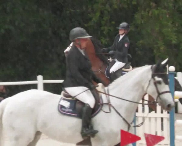 Reitturnier Losheim am See 2022
