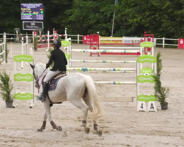 Reitturnier Losheim am See 2022